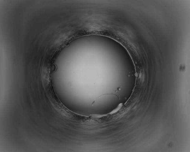X0000102481348200808081255