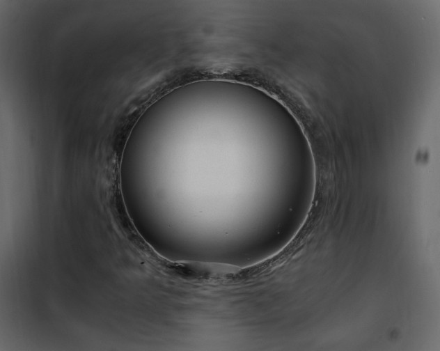 X0000102481349200808081255