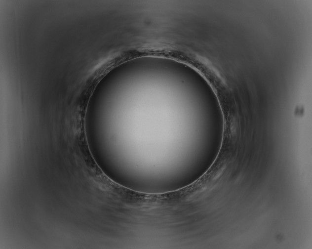 X0000102481350200808081255