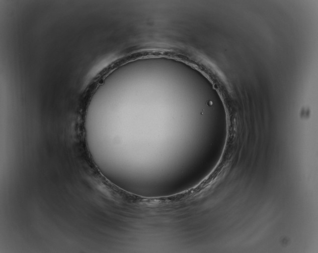 X0000102481352200808081255