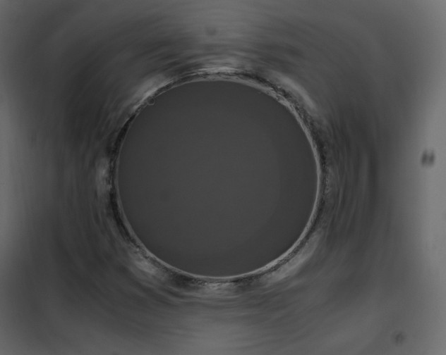 X0000102481353200808081255