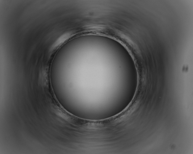 X0000102481354200808081255