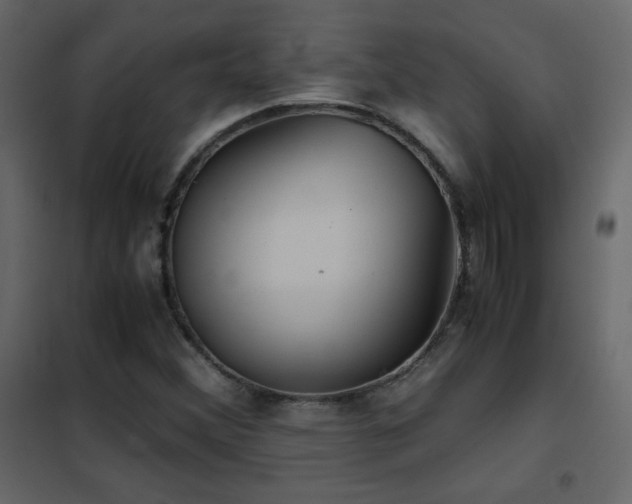 X0000102481356200808081255