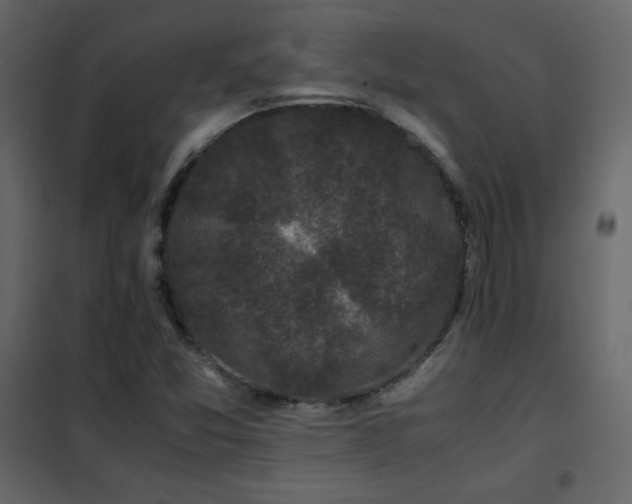 X0000102481357200808081255