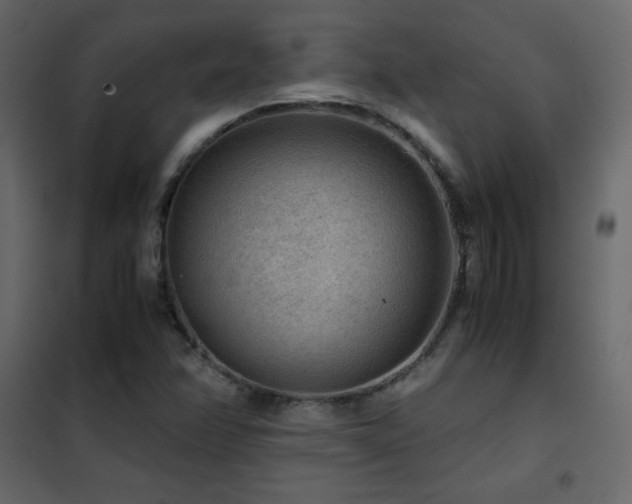 X0000102481358200808081255