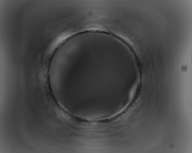 X0000102481359200808081255