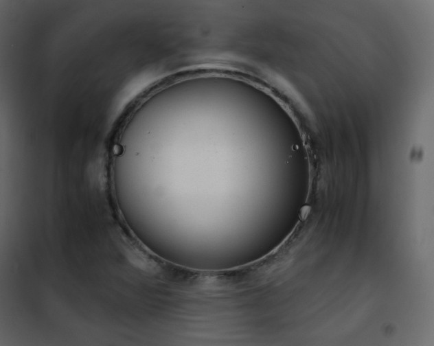 X0000102481360200808081255