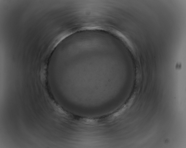 X0000102481361200808081255