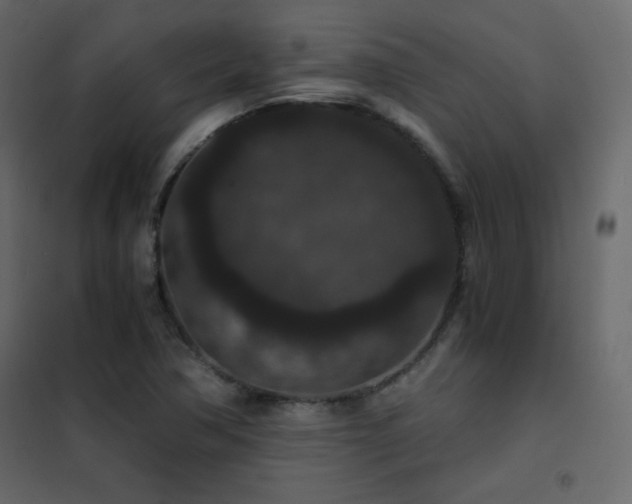 X0000102481362200808081255