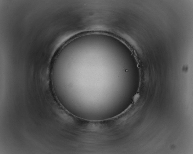 X0000102481364200808081255