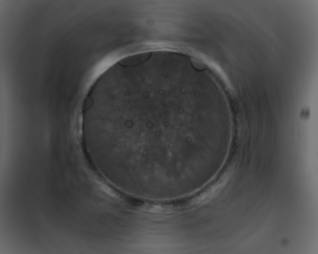 X0000102481365200808081255