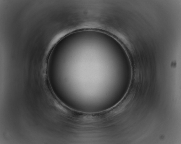 X0000102481366200808081255