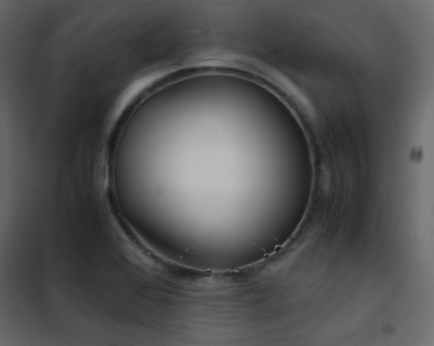 X0000102481368200808081255
