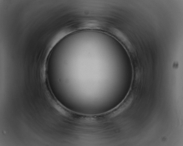 X0000102481370200808081255