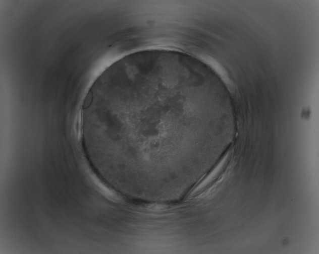 X0000102481371200808081255