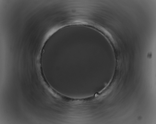 X0000102481373200808081255