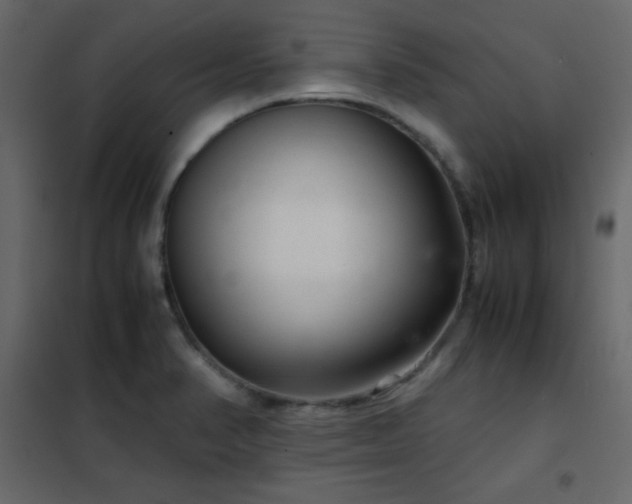 X0000102481374200808081255