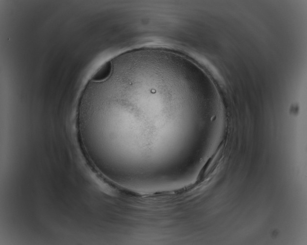X0000102481375200808081255