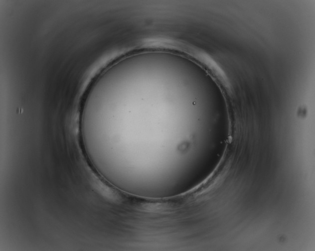 X0000102481376200808081255