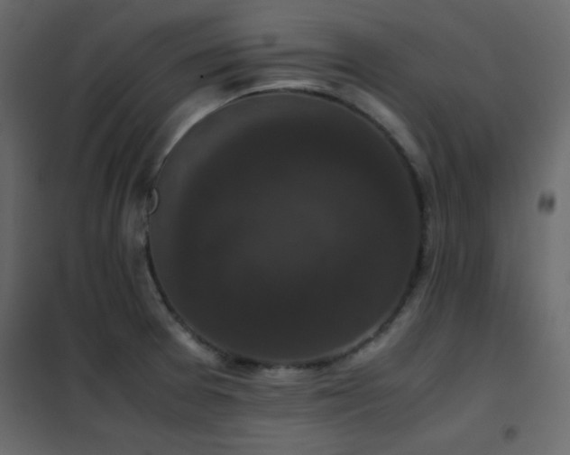 X0000102481377200808081255