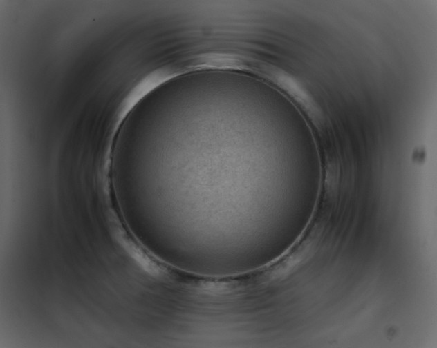 X0000102481378200808081255