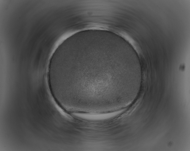 X0000102481379200808081255