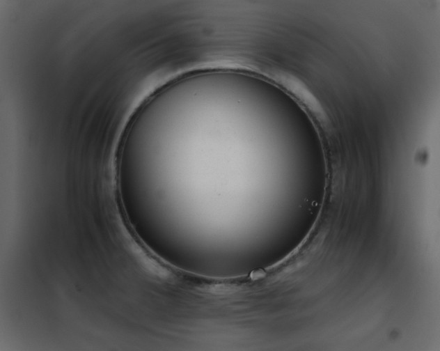 X0000102481380200808081255