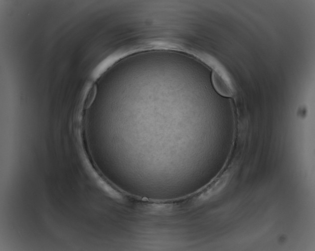X0000102481381200808081255