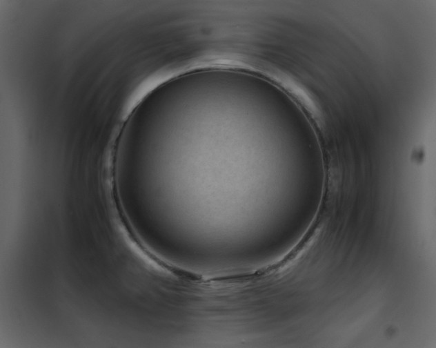 X0000102481382200808081255