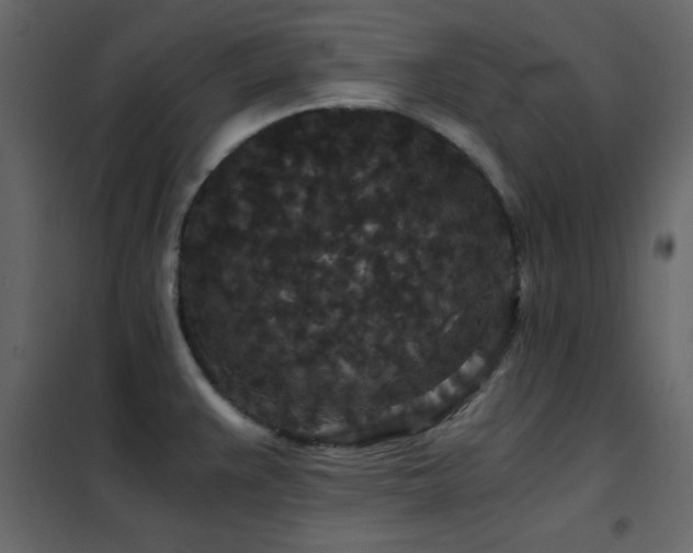 X0000102481383200808081255