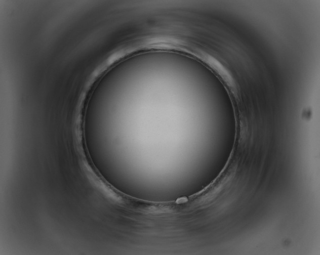 X0000102481384200808081255