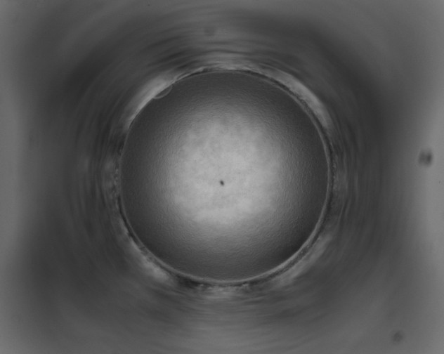 X0000102481385200808081255