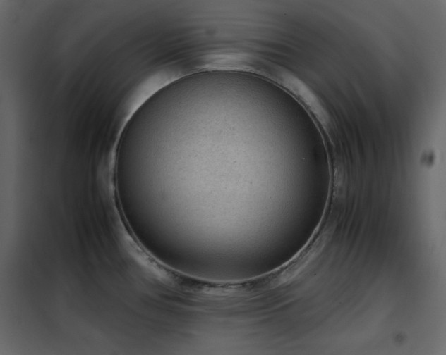 X0000102481386200808081255