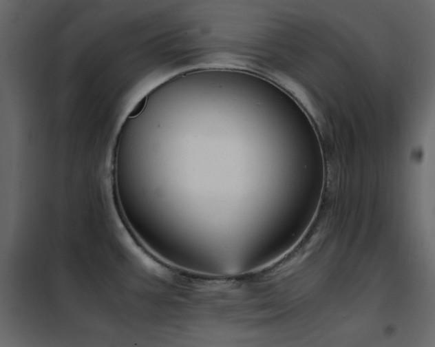 X0000102481387200808081255