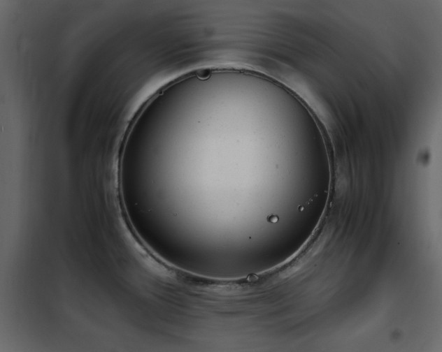 X0000102481388200808081255