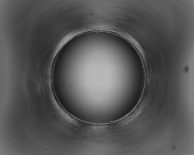 X0000102481389200808081255