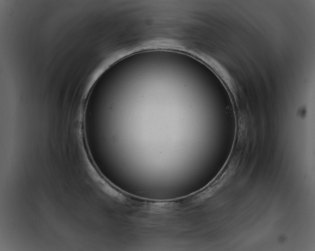 X0000102481390200808081255