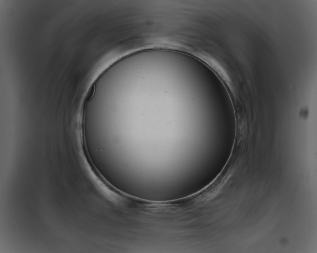 X0000102481391200808081255