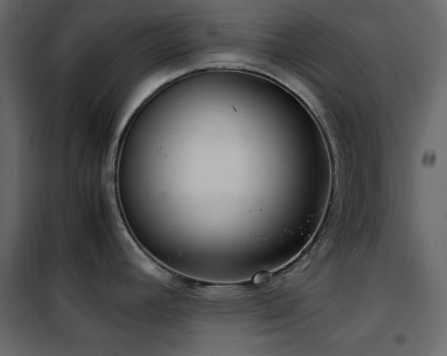 X0000102481392200808081255