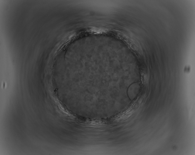 X0000102481393200808081254