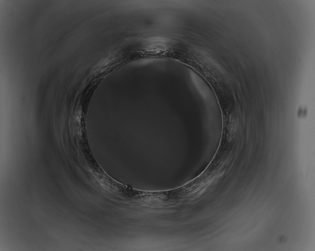 X0000102481394200808081254