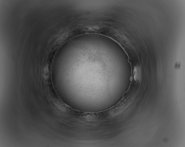 X0000102481395200808081254