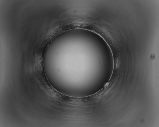 X0000102481396200808081254