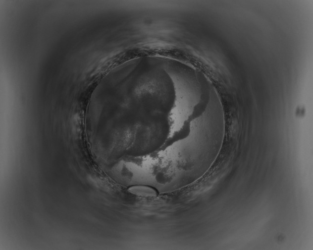 X0000102481397200808081254