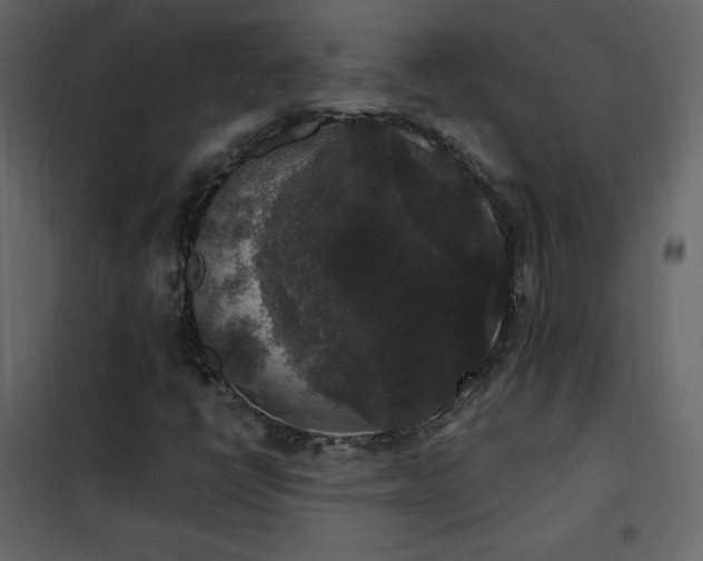 X0000102481398200808081254
