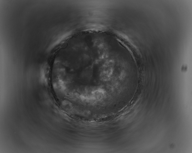 X0000102481399200808081254