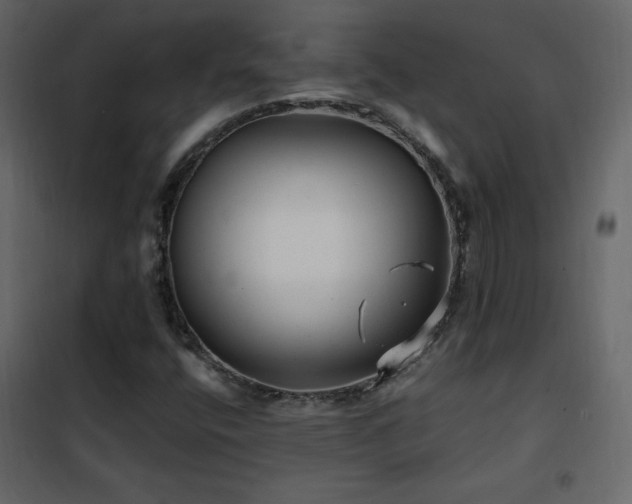 X0000102481400200808081254