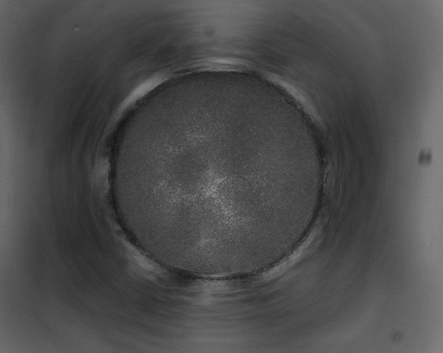 X0000102481402200808081254