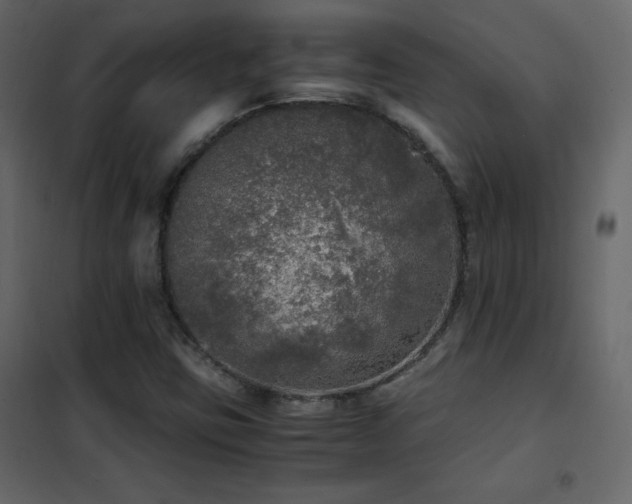 X0000102481403200808081254