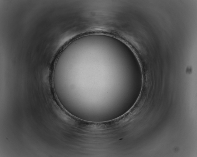 X0000102481404200808081254